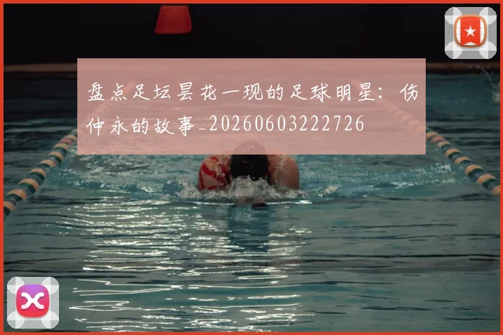 盘点足坛昙花一现的足球明星：伤仲永的故事_20260603222726