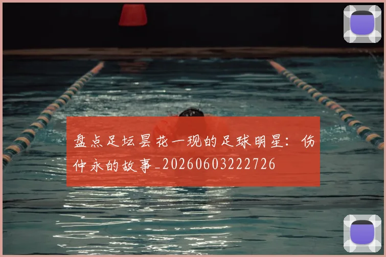 盘点足坛昙花一现的足球明星:伤仲永的故事_20260603222726